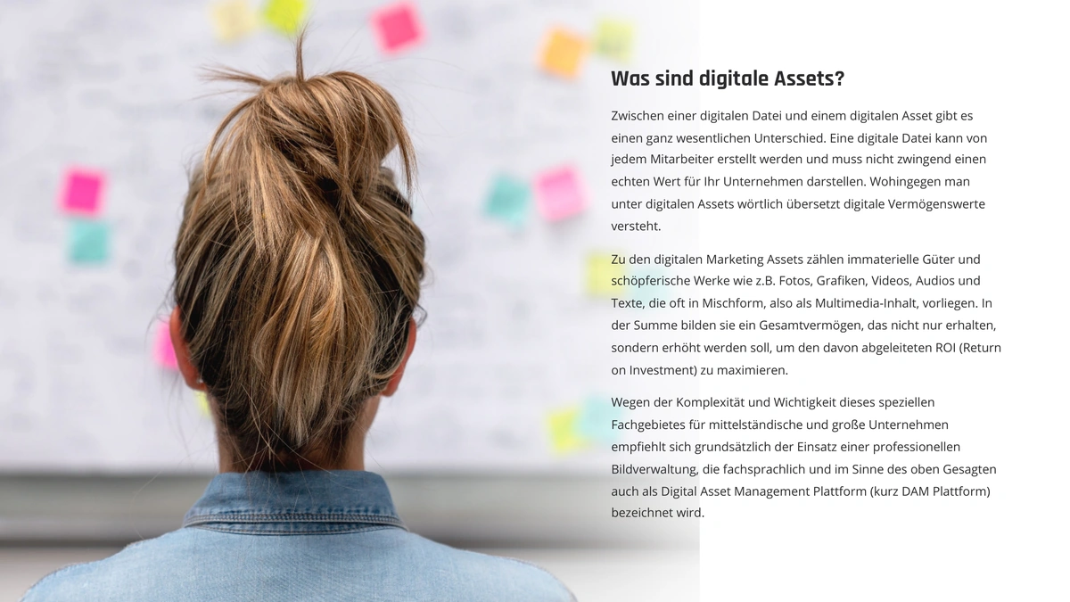 DAM Leitfaden Seite 3 – Workflows und Verteilung