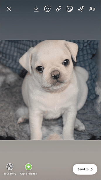 Bearbeitung von Bildern in der Instagram App