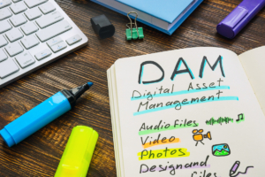 What is DAM or Digital Asset Management? The solution for professional management of images and other media